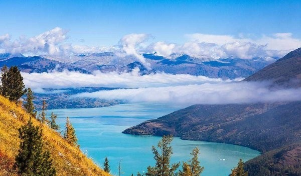 喀纳斯景区景点导游图
