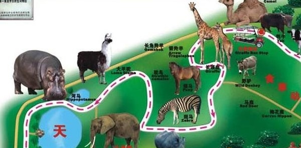 深圳野生动物园导游图