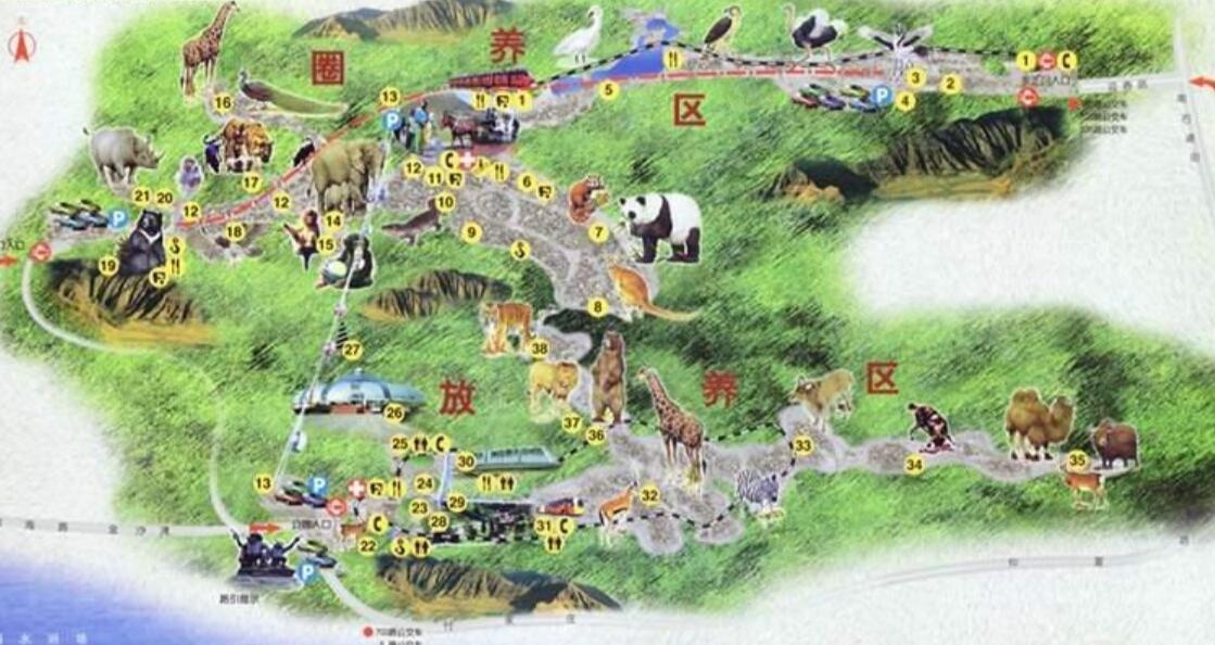 大连森林动物园游览图